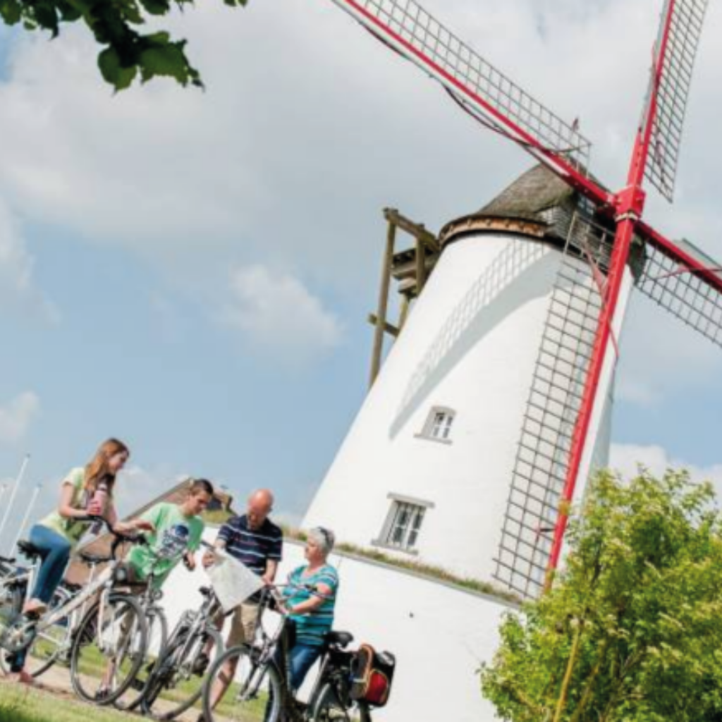 Ostiches chemin visite